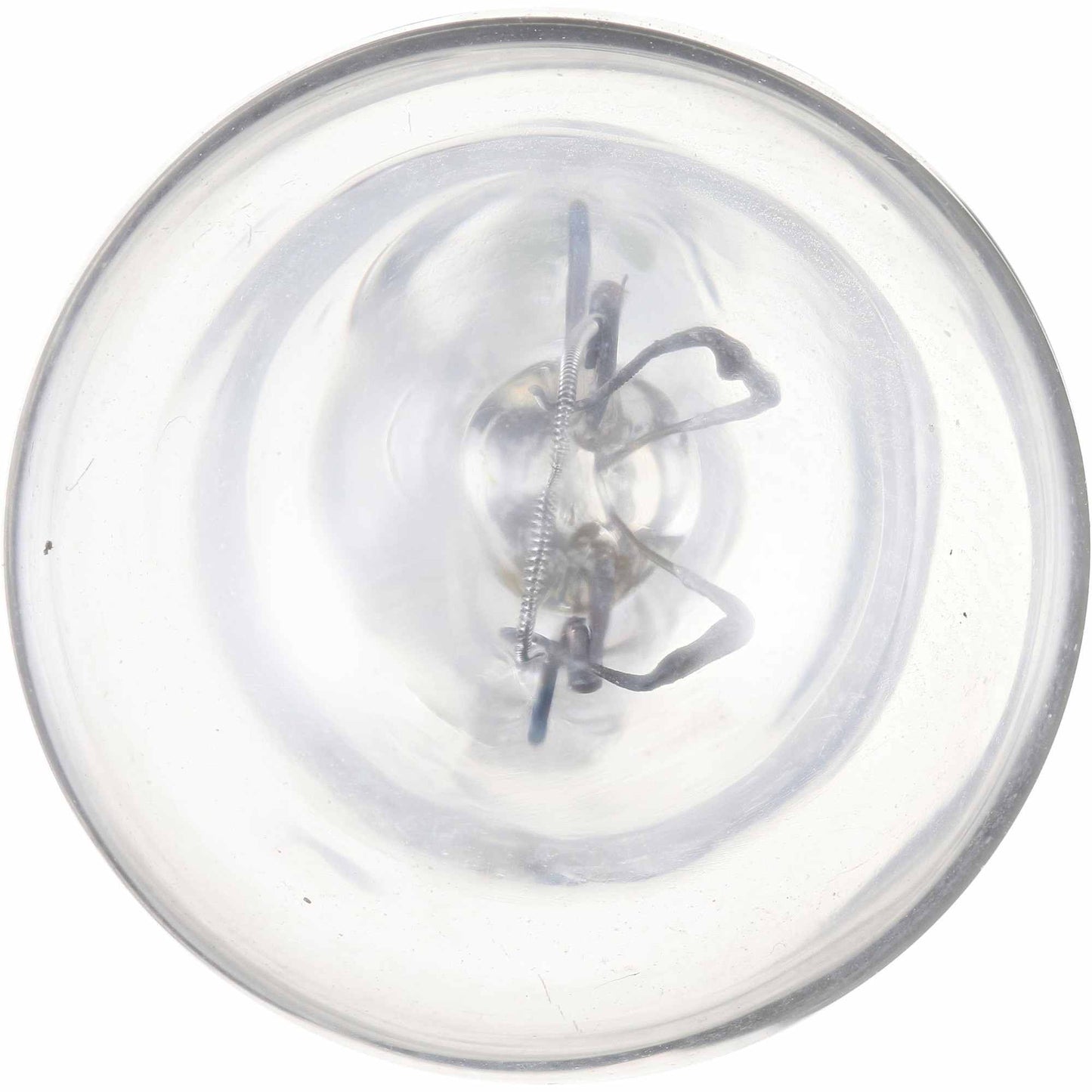 Philips Back Up Light Bulb 906B2