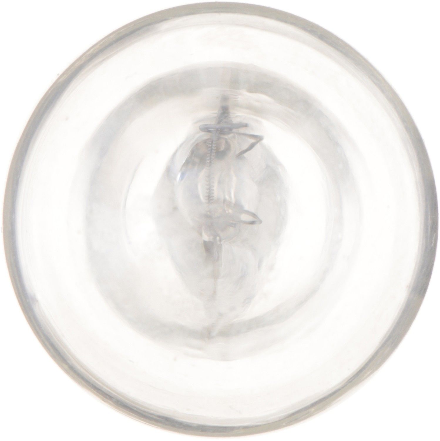 Philips Back Up Light Bulb 906CP