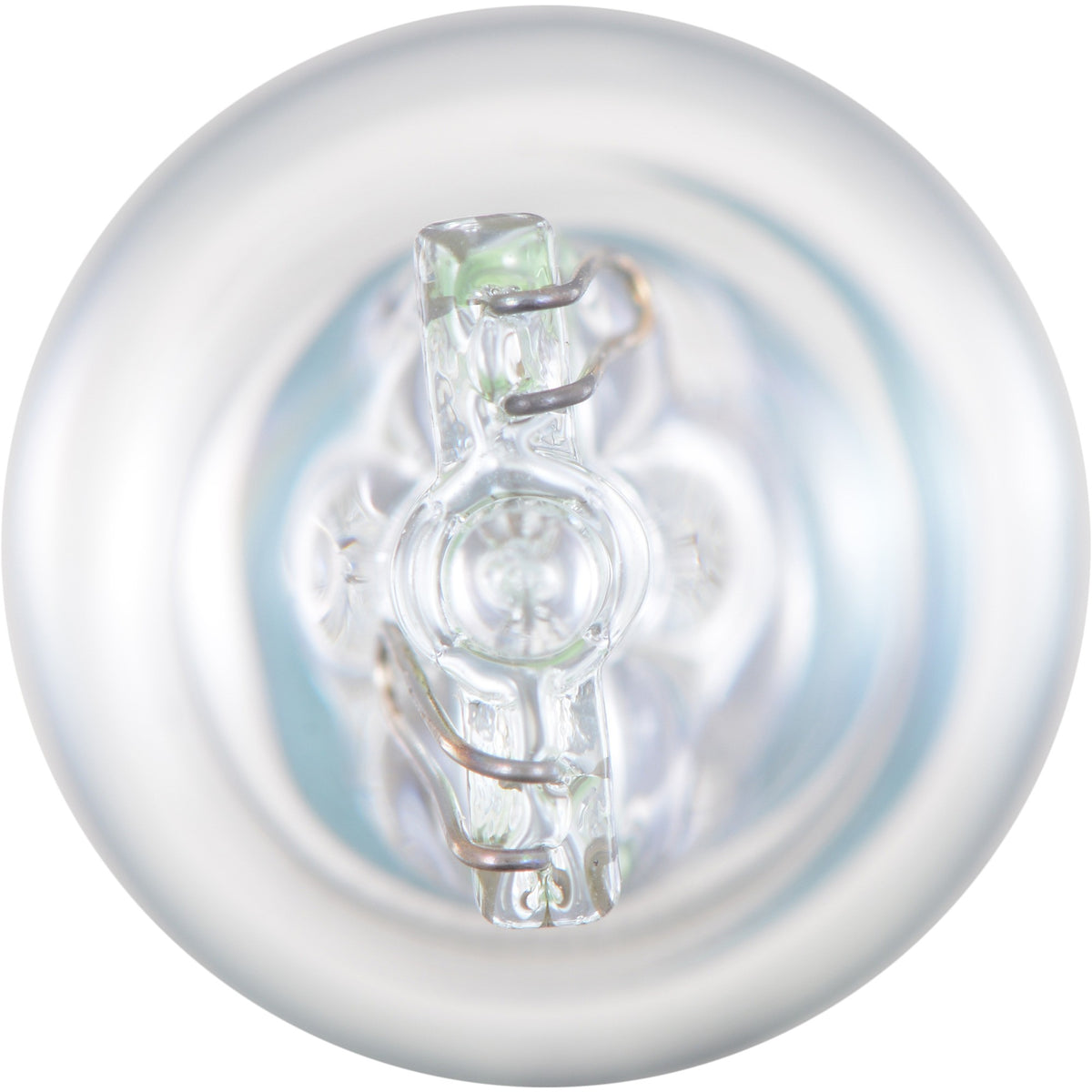 Philips Back Up Light Bulb 906LLB2