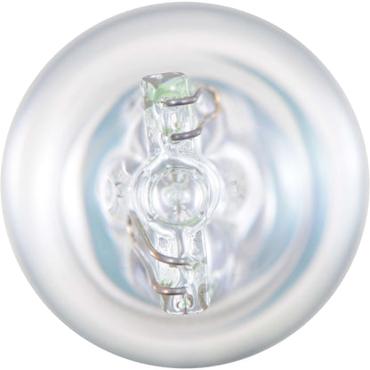 Philips Back Up Light Bulb 906LLB2