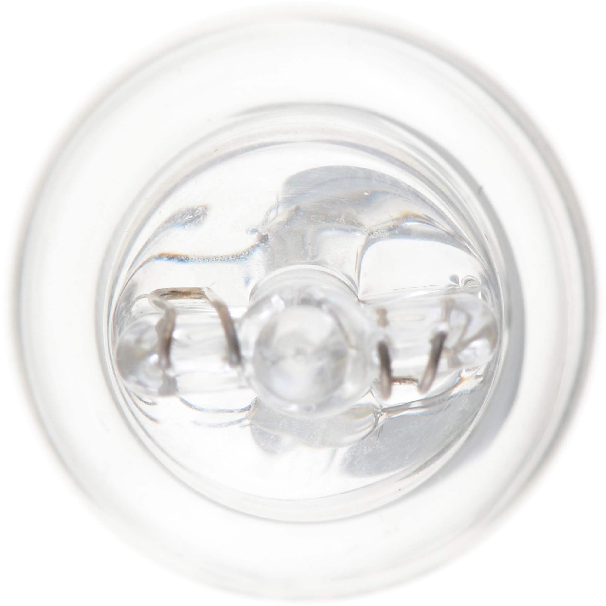 Philips Back Up Light Bulb 916B2