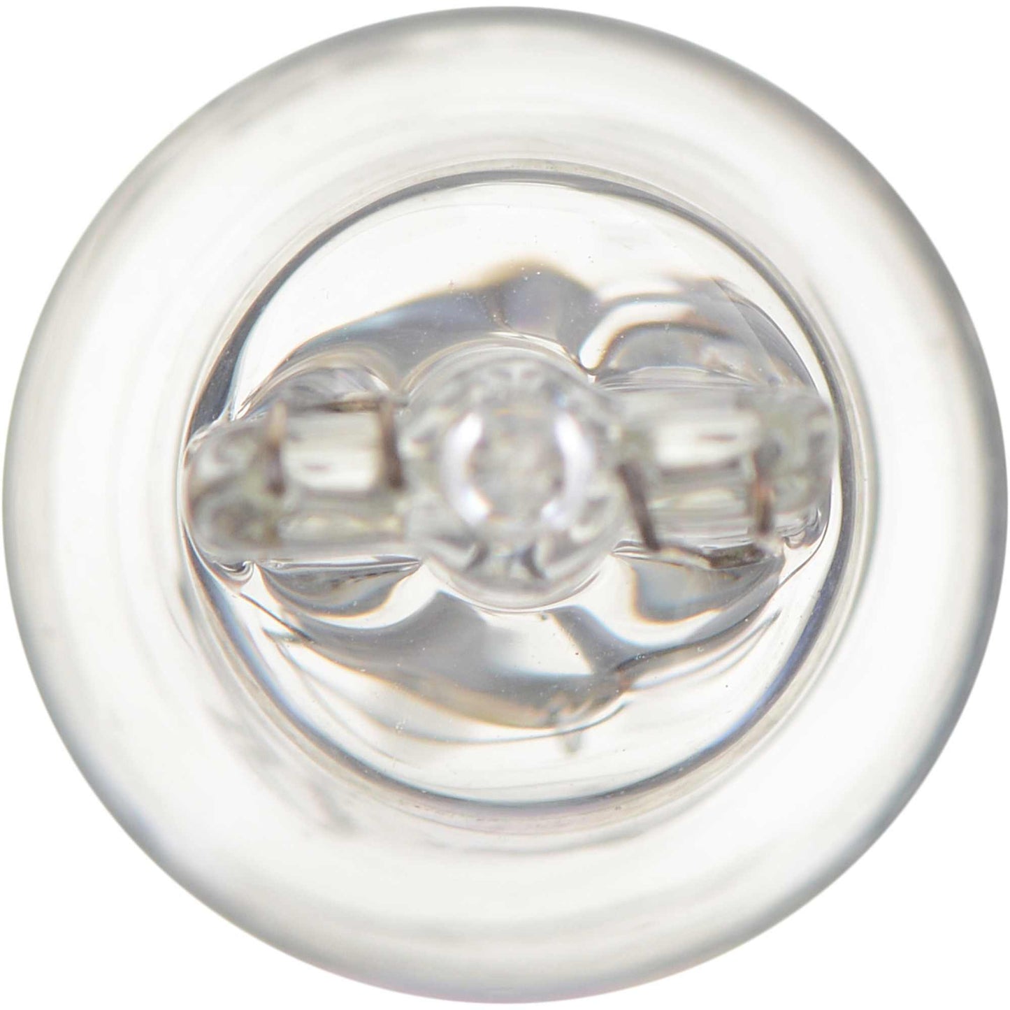 Philips Back Up Light Bulb 916CP