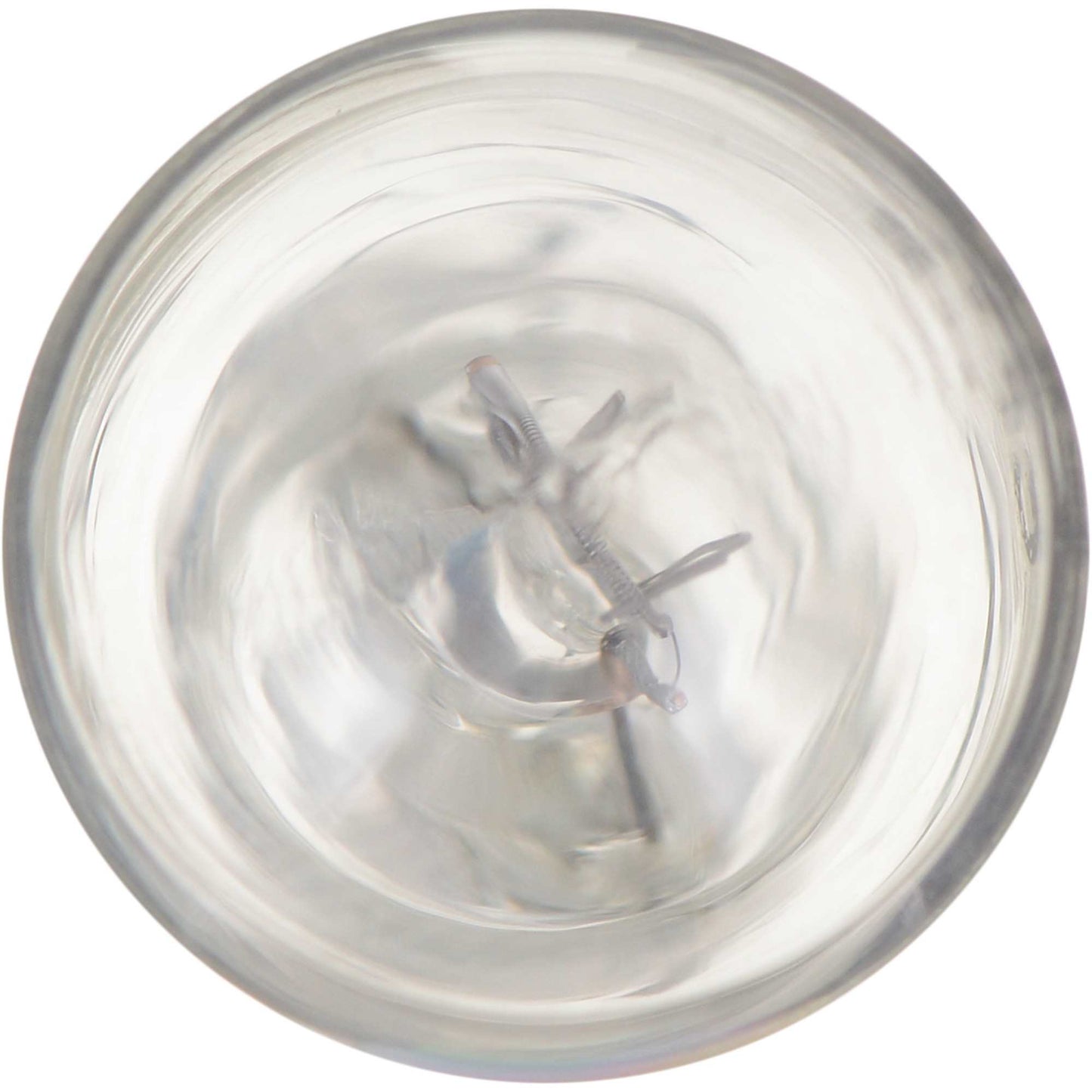 Philips Back Up Light Bulb 916CP
