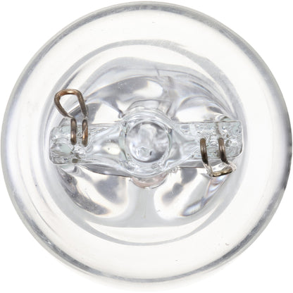 Philips Back Up Light Bulb 917LLB2