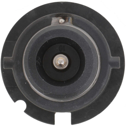 Philips Headlight Bulb D2SC1