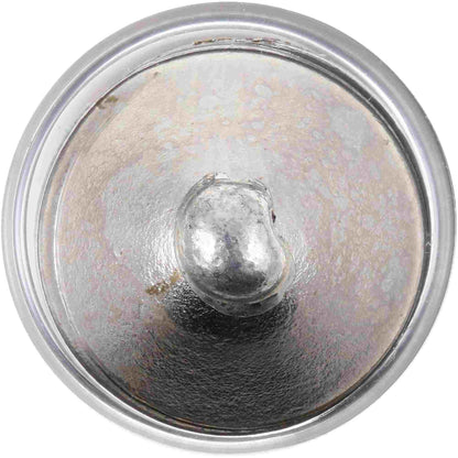 Philips Dome Light Bulb DE3425LLB2