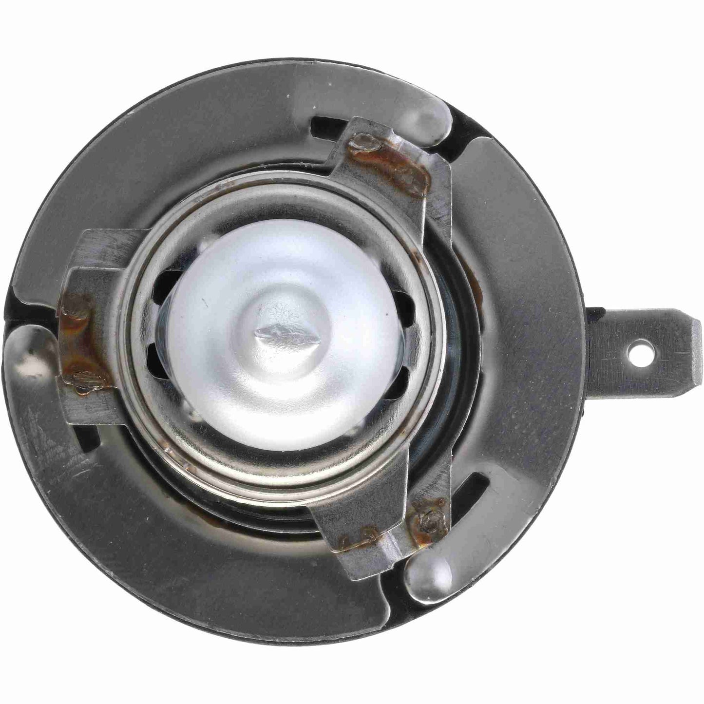 Philips Headlight Bulb H11BCVPS2