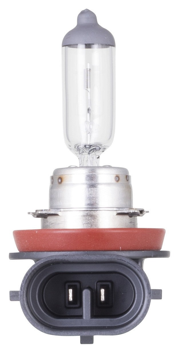 Philips Headlight Bulb H11PRB1