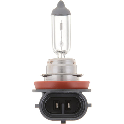 Philips Headlight Bulb H11PRB1