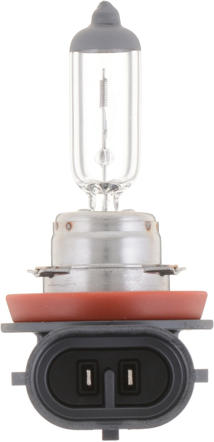 Philips Headlight Bulb H11VPB1