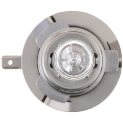 Philips Fog Light Bulb H15B1