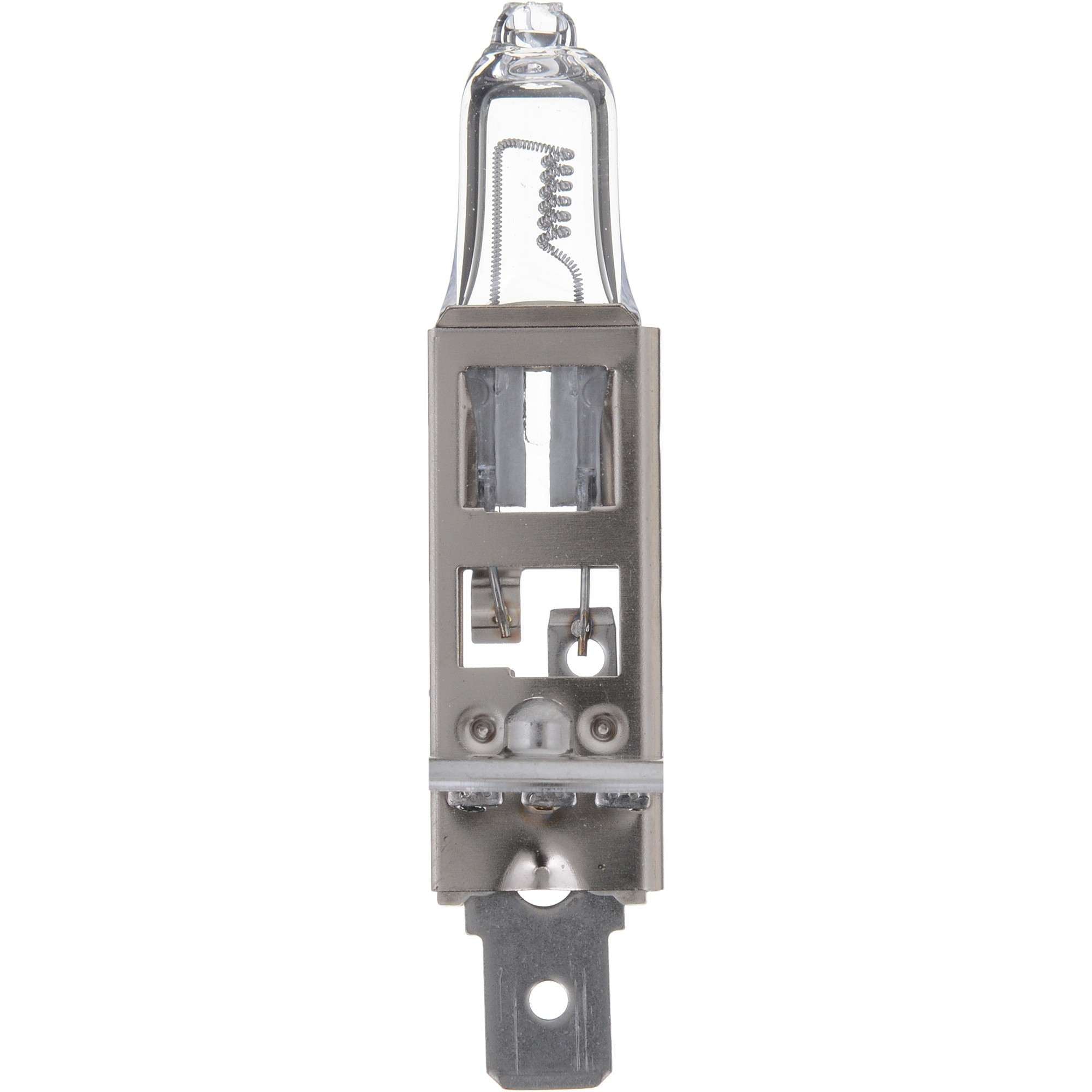 Philips Multi-Purpose Light Bulb H1C1-24V