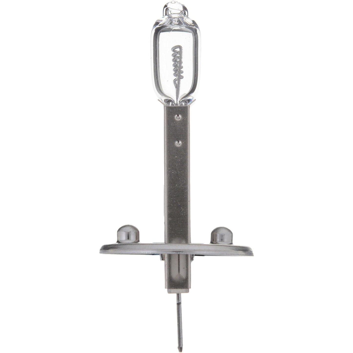 Philips Multi-Purpose Light Bulb H1C1-24V