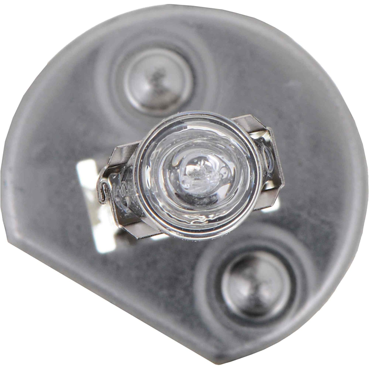 Philips Multi-Purpose Light Bulb H1C1-24V