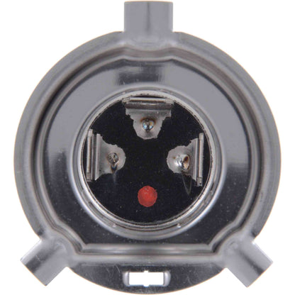 Philips Headlight Bulb H4C1-24V