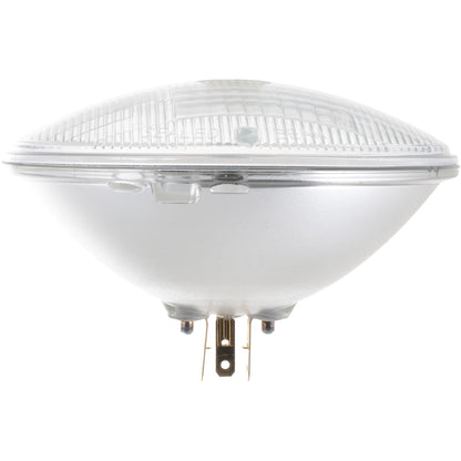 Philips Headlight Bulb H6024CVC1