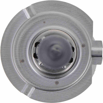 Philips Headlight Bulb H7C1-24V
