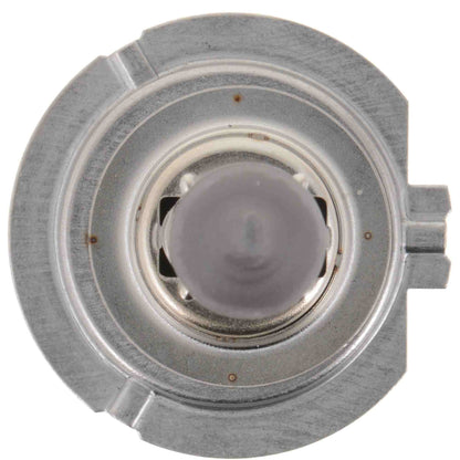 Philips Headlight Bulb H7C1