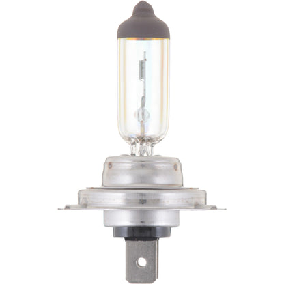 Philips Headlight Bulb H7MVB1