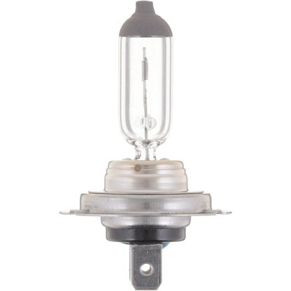 Philips Headlight Bulb H7PRB1