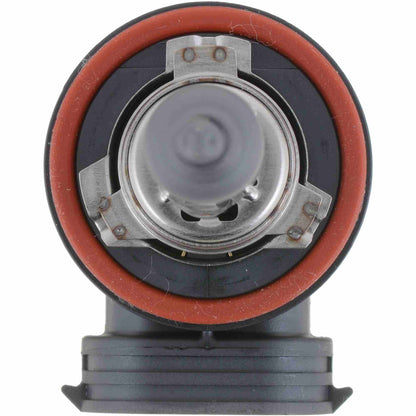 Philips Fog Light Bulb H8B1