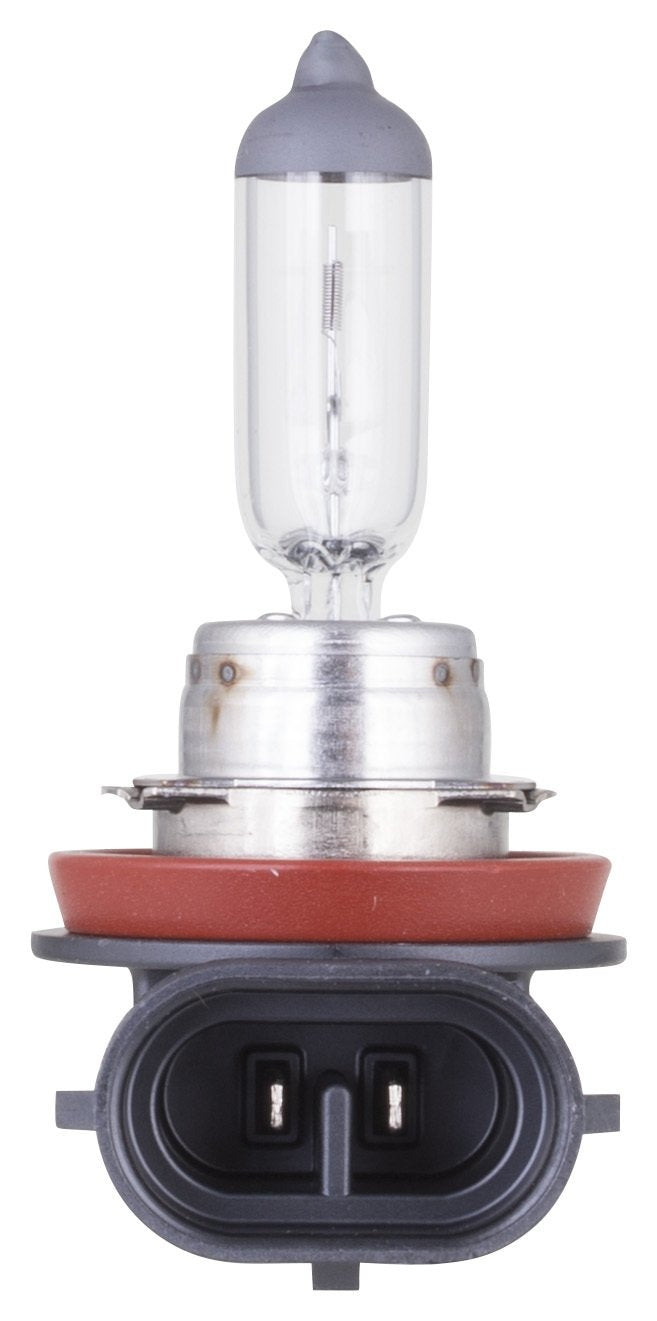 Philips Fog Light Bulb H8C1