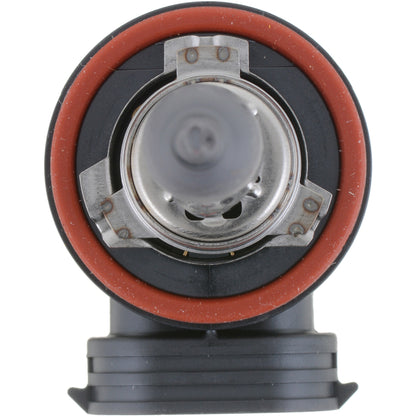 Philips Fog Light Bulb H8C1