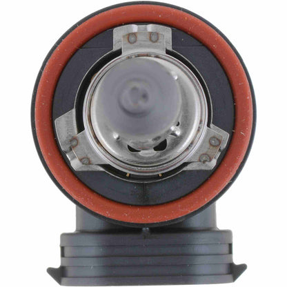 Philips Fog Light Bulb H8C1