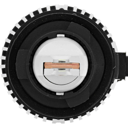 Philips Lighting H8/H16USLED