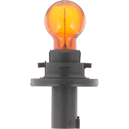 Philips Turn Signal / Parking Light Bulb  top view frsport HPC16WNAC1