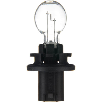 Philips Turn Signal Light Bulb HPC19WC1