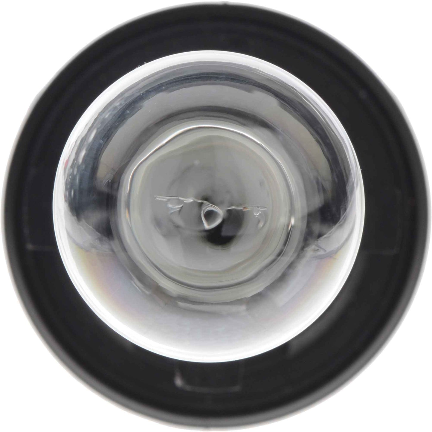 Philips Turn Signal Light Bulb HPC19WC1