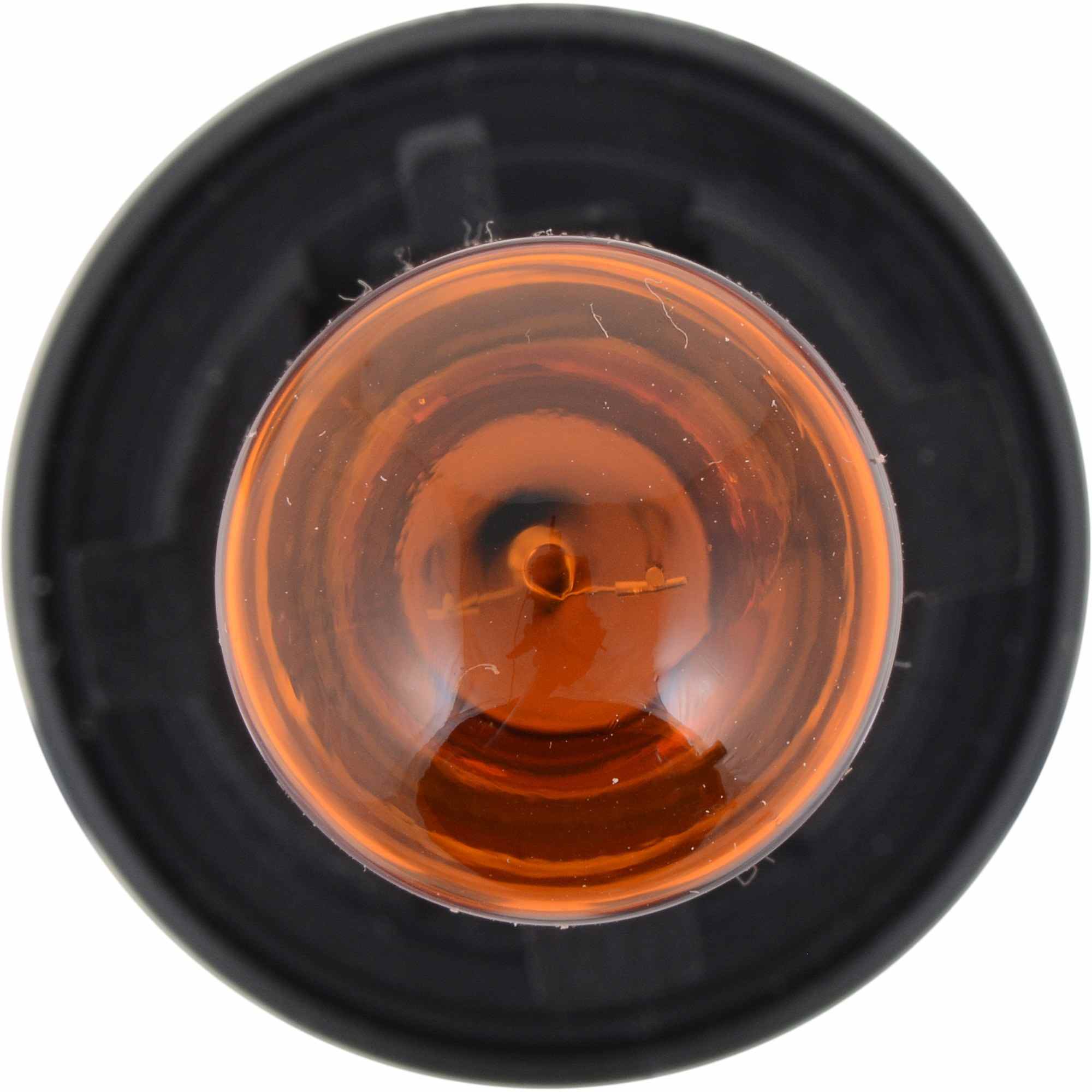 Philips Turn Signal Light Bulb HPC24WNAC1