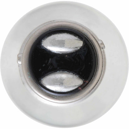 Philips P21/4WLLB2