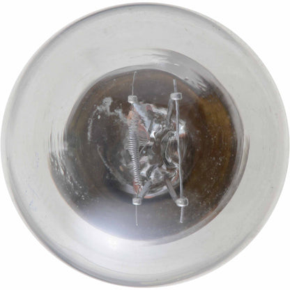 Philips P21/4WLLB2