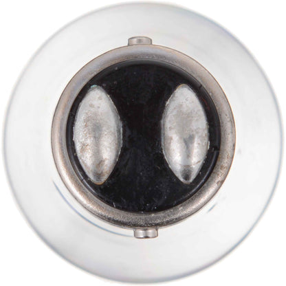 Philips Lighting P21/5WCP-24V