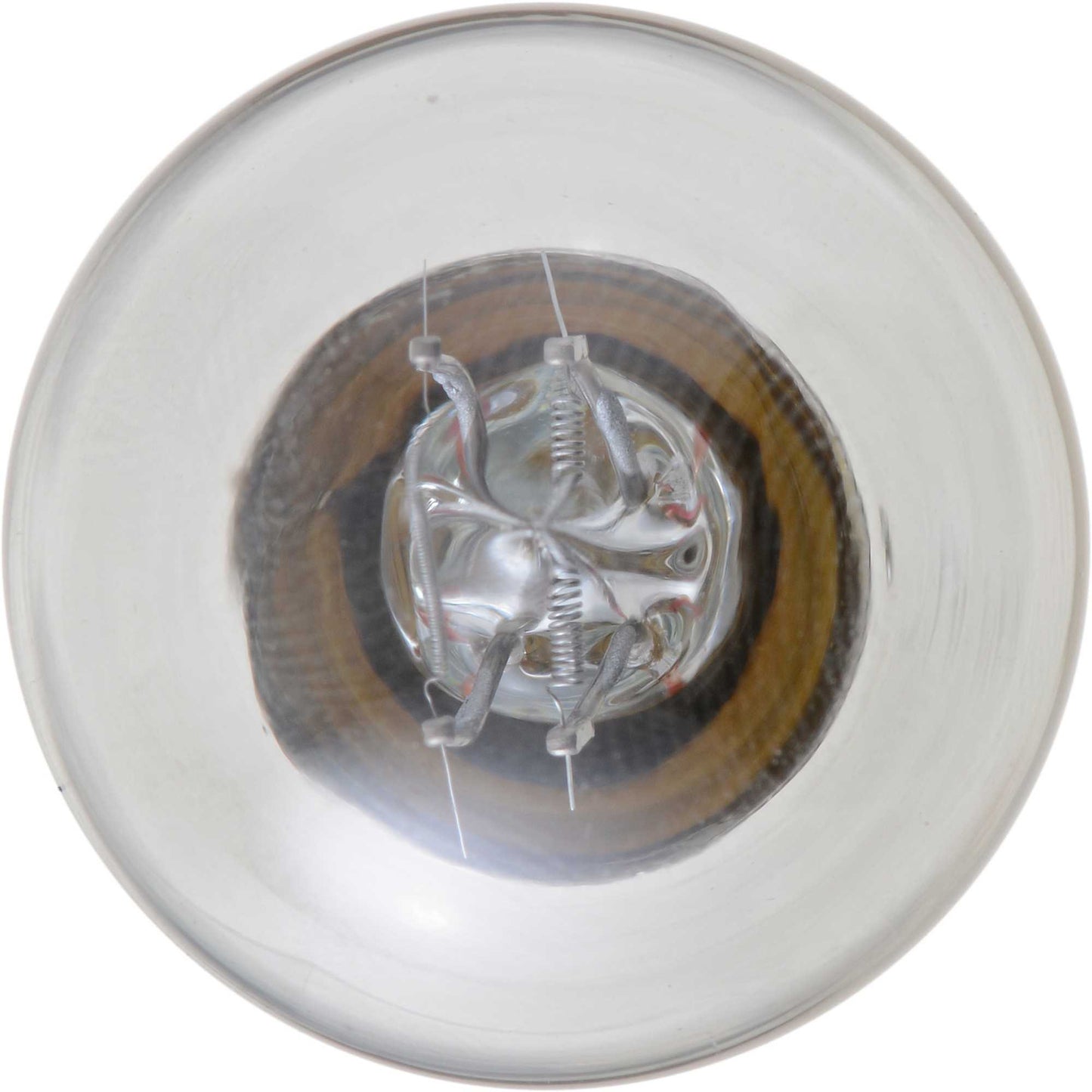 Philips P21/5WLLB2