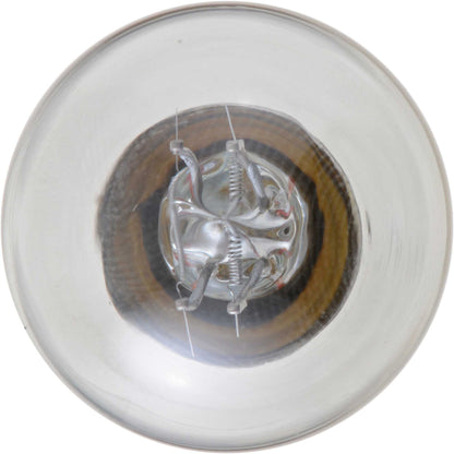 Philips P21/5WLLB2