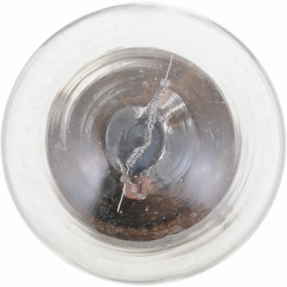 Philips Tail Light Bulb P21WB2