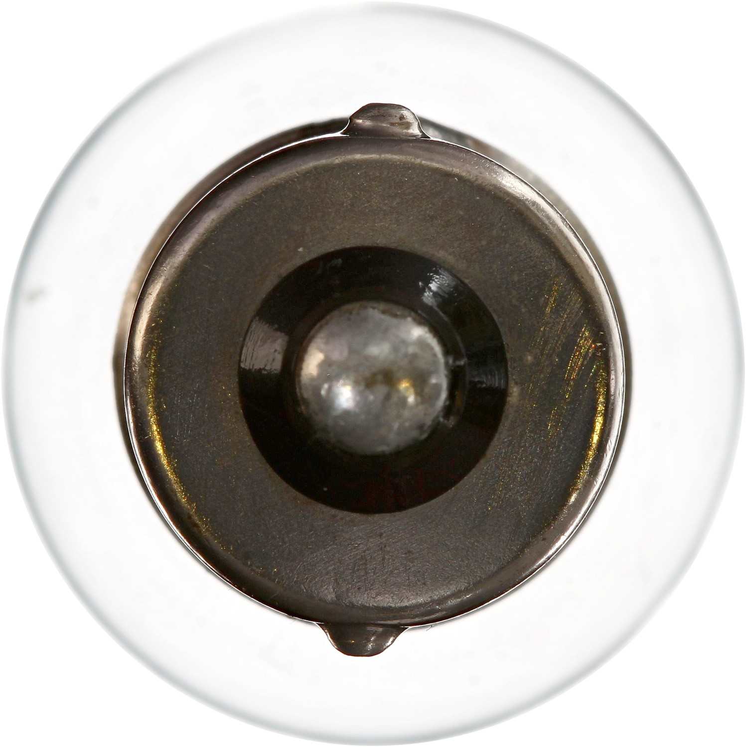 Philips Turn Signal / Parking Light Bulb P21WCP-24V