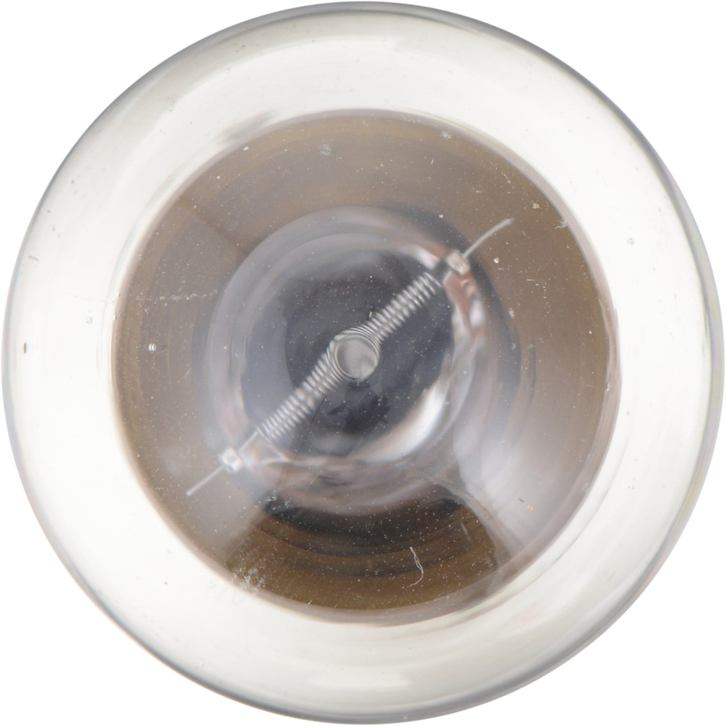 Philips Multi-Purpose Light Bulb P21WCP