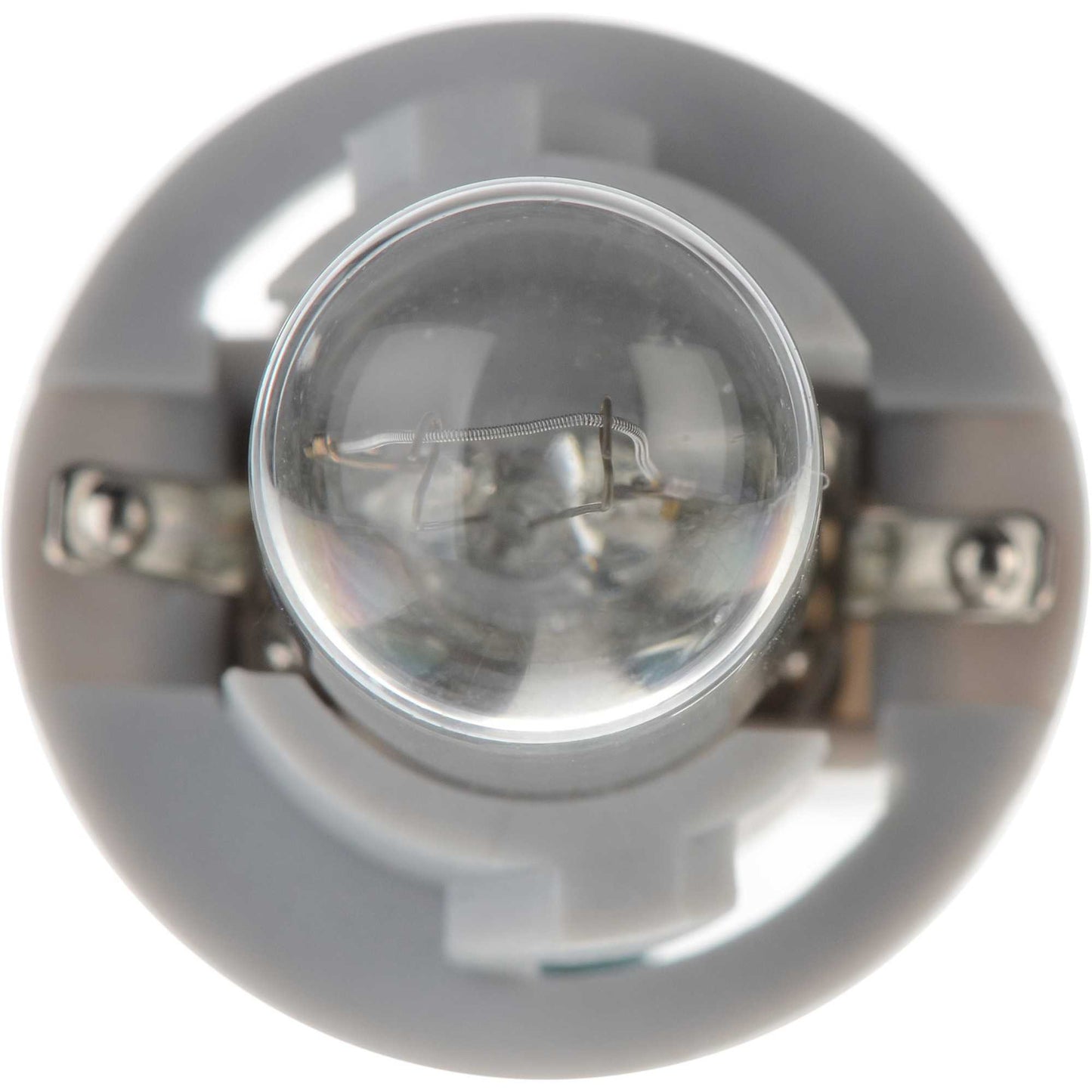 Philips Instrument Panel Courtesy Light Bulb PC194B2