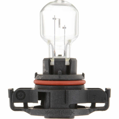 Philips Fog Light Bulb PS19WC1
