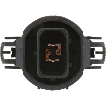 Philips Fog Light Bulb PS19WC1