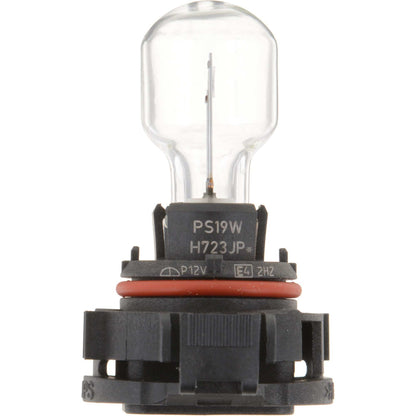 Philips Fog Light Bulb PS19WC1