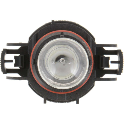 Philips Fog Light Bulb PS19WC1