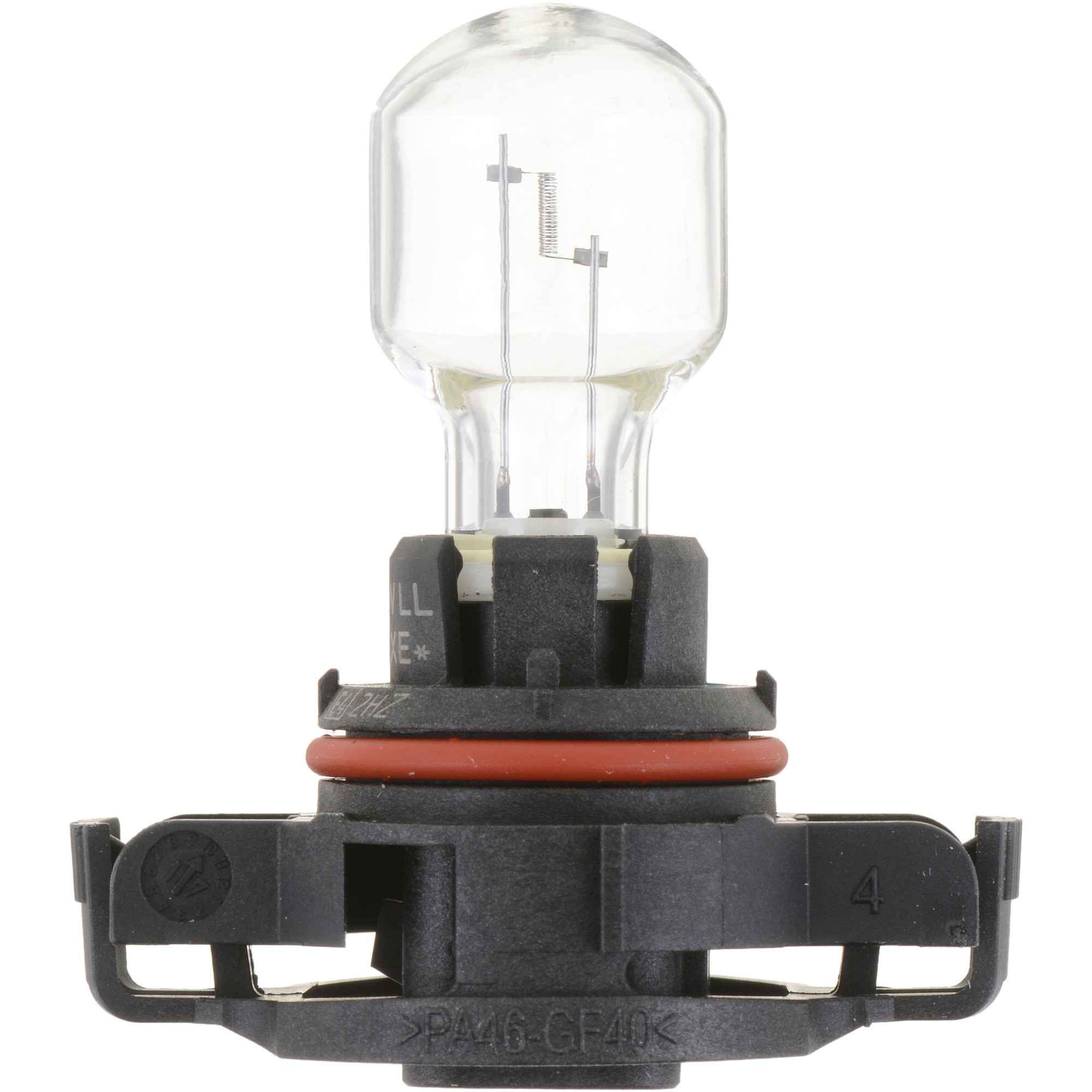 Philips Fog Light Bulb PS19WLLC1
