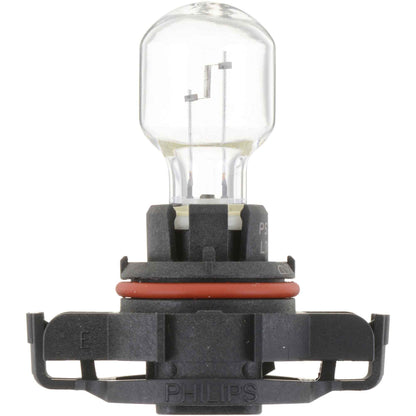 Philips Fog Light Bulb PS19WLLC1