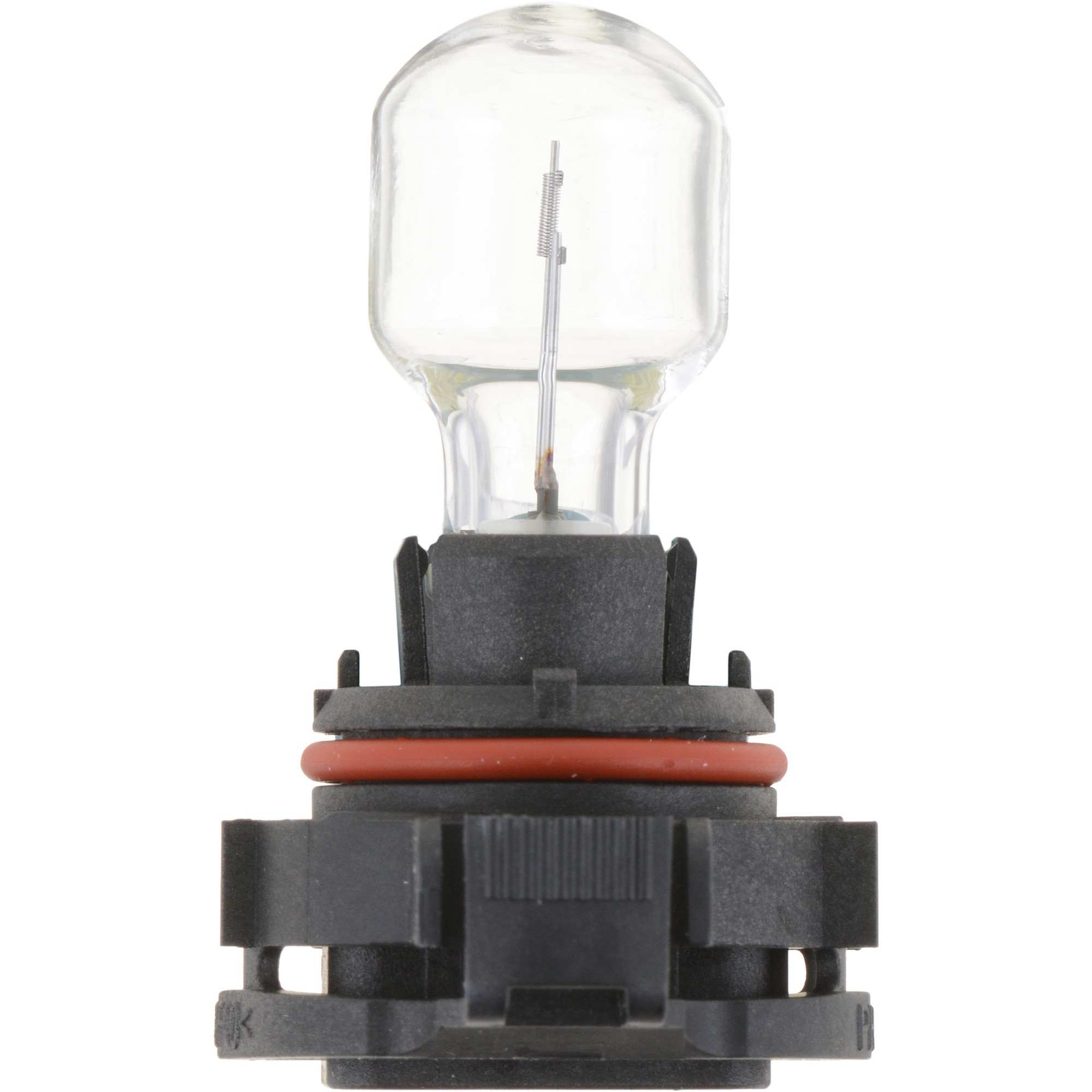 Philips Fog Light Bulb PS19WLLC1