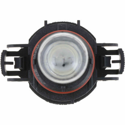 Philips Fog Light Bulb PS19WLLC1
